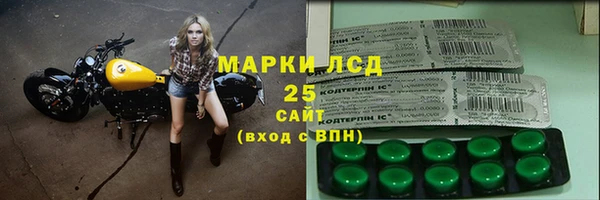 стафф Михайловск