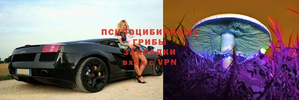 spice Надым