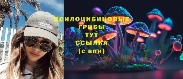 стафф Михайловск