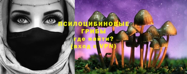 соль ск Михайловка